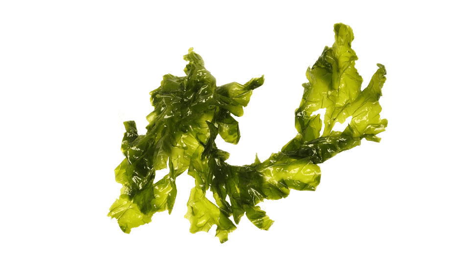Organická APOTEKA Actibiome